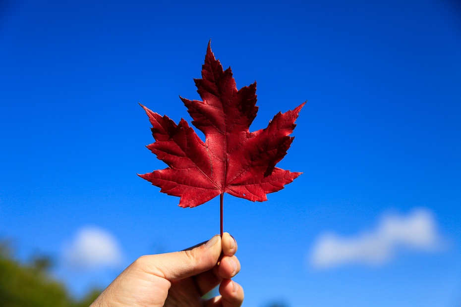 移民到加拿大门到门搬家服务